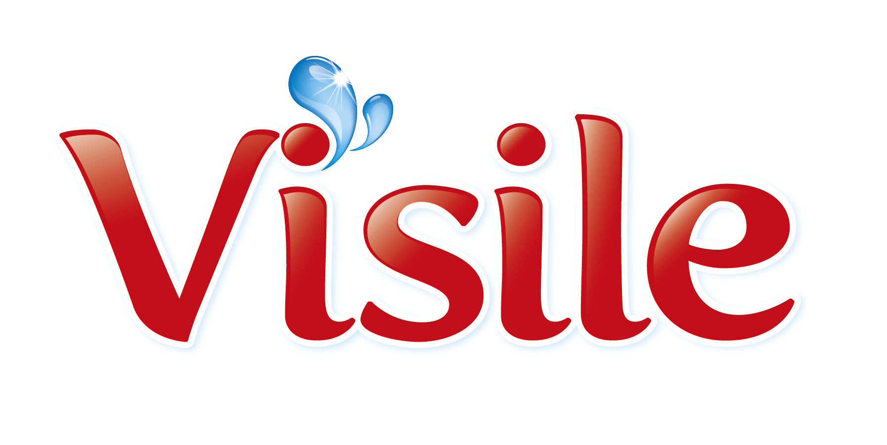 Logo Visile Sp. z o.o.